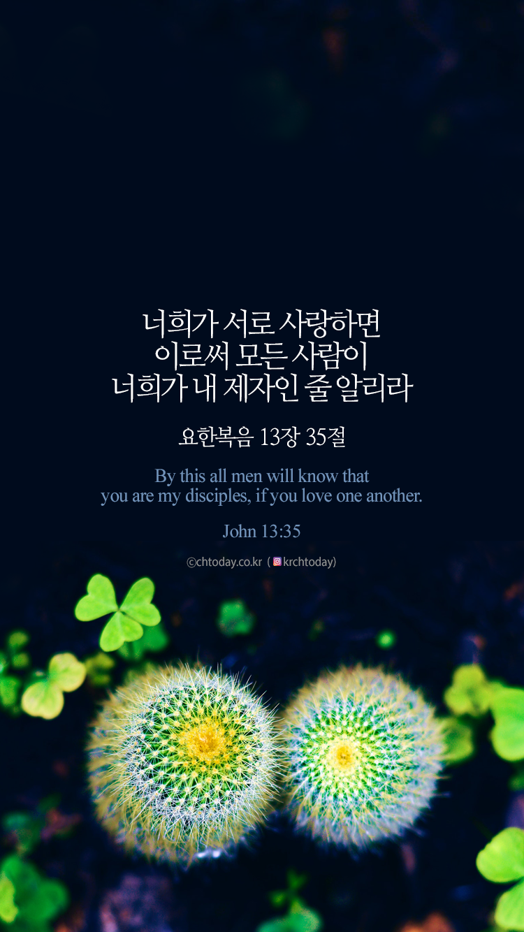 [오늘의 묵상] 서로 사랑하면