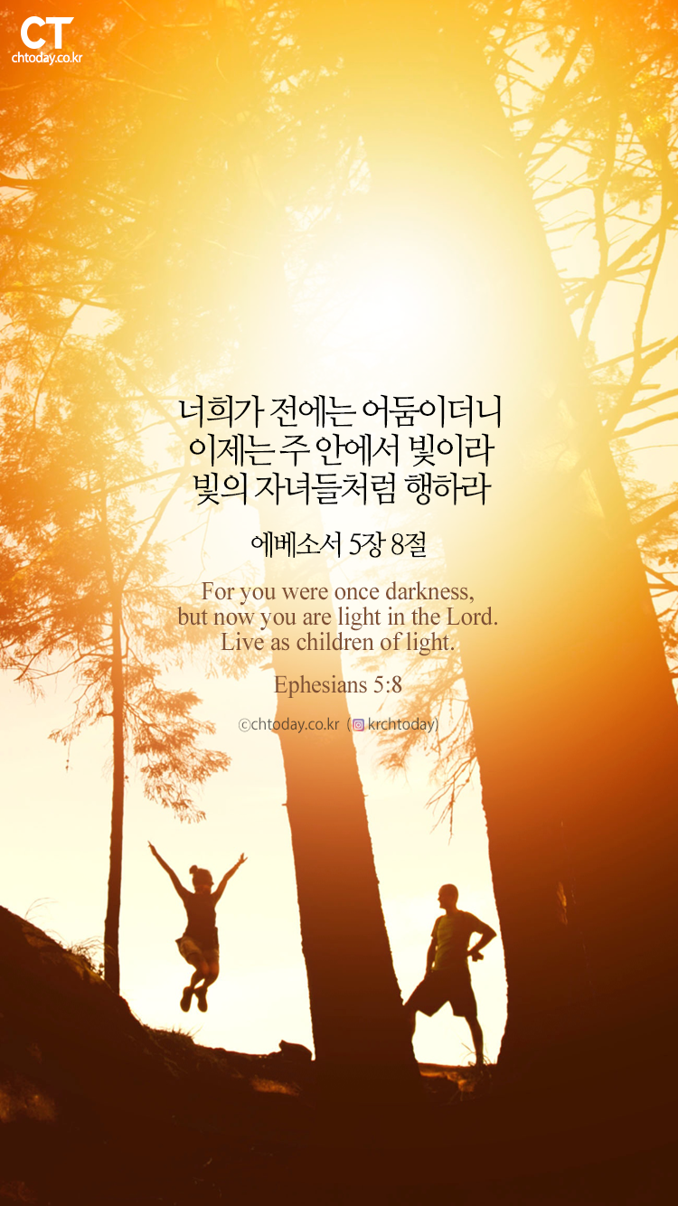 [오늘의 묵상] 빛의 자녀들