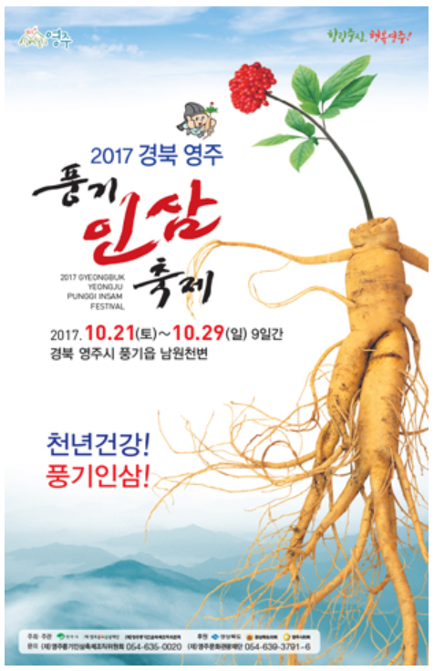 인삼캐기체험, 인삼 퍼포먼스 공연... 경북 영주 풍기인삼축제 2017