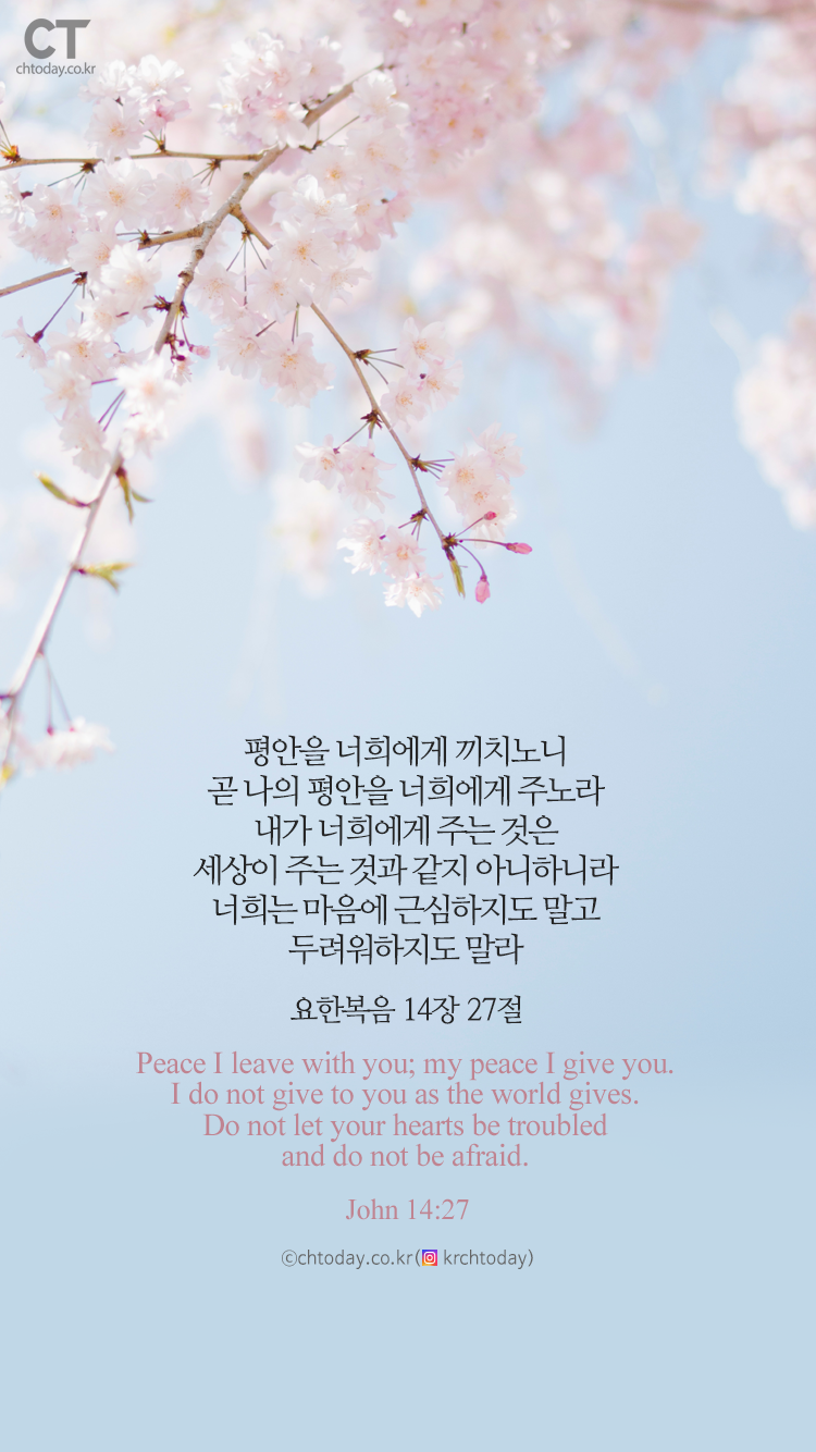 [오늘의 묵상] 나의 평안