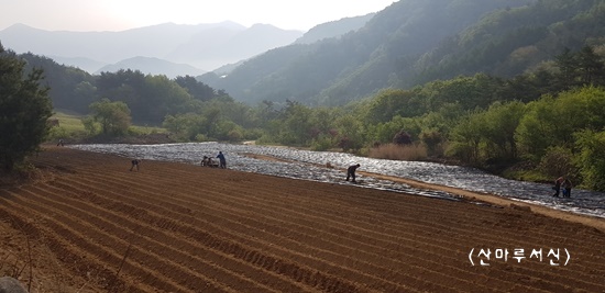 [산마루서신] 창조 질서를 따르는 농법