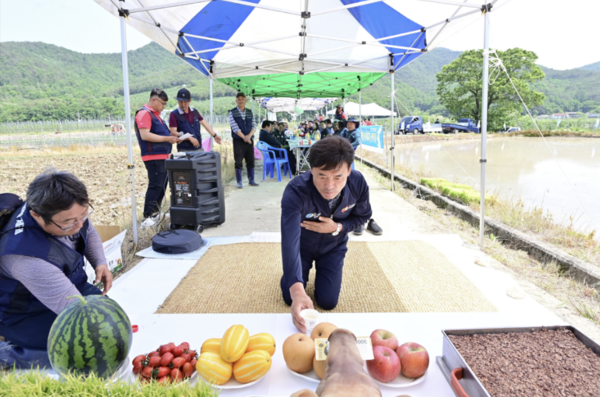 청송군 농민회,2024 풍년기원제 및  통일쌀 손 모내기 행사개최
