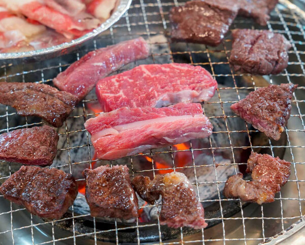 생방송투데이 솔잎 숙성 한우, 은은한 향에 부드러운 고기 일품