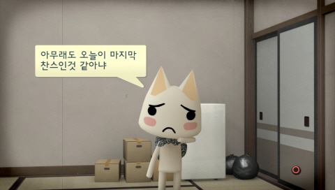 하얀 고양이 ‘토로’와 친구들, 한국 정식 상륙