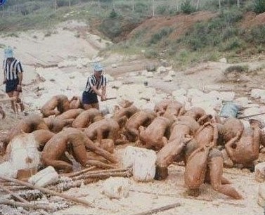 사회적 충격 안긴 훈련 모습은?... 삼청교육대 핫이슈 속 논란 급부상