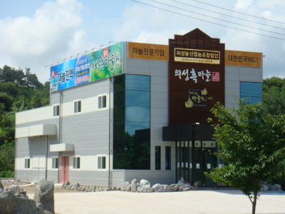 정직, 정도를 고수하는 흑마늘의 뿌리 의성농산 영농조합