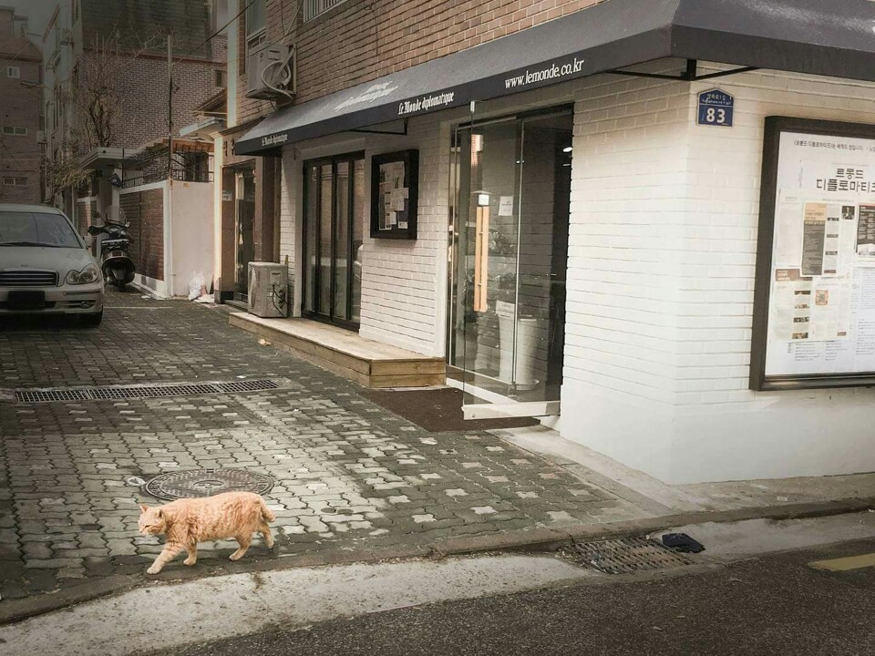 [이 언론이 사는 법] ① 르몽드 디플로마티크