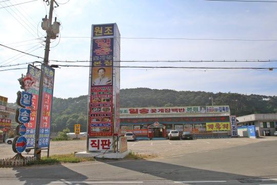 안면도맛집 4계절 내내 극찬 꽃게장, 게국지