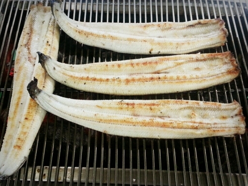 미인장어, 여름보양식 민물장어 중복 맞아 할인 판매