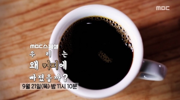 ‘MBC 스페셜’ 우리가 몰랐던 재미있는 커피 이야기… 대한민국에서도 커피나무가 자란다고?