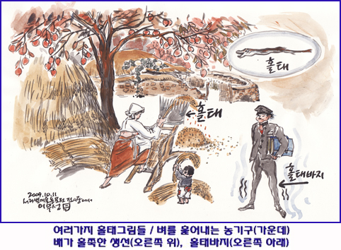 벼를 훑어내는 농기구 홀태를 아시나요?