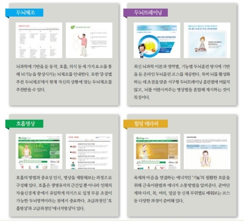 브레인 피트니스Brain Fitness