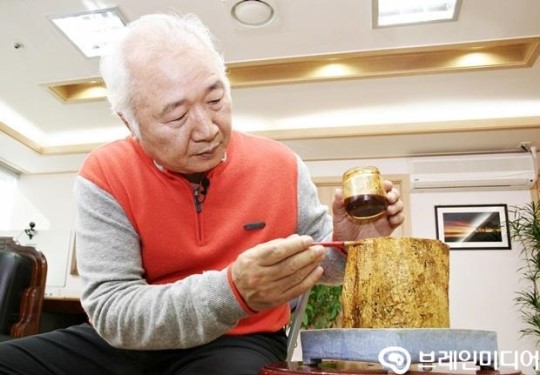 우리나라의 숨겨진 보물, 황칠의 가치를 재발견하다!