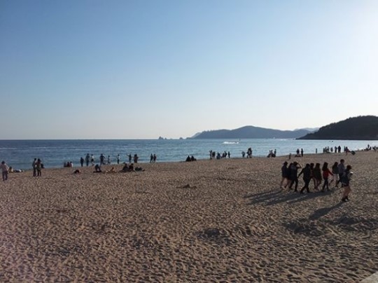 부산국제영화제, 이런 식으로는 안된다