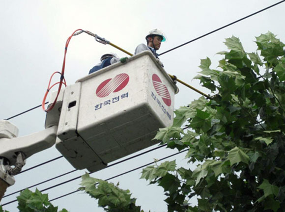 지식경제부, 전국 834만개 전봇대 일제 점검