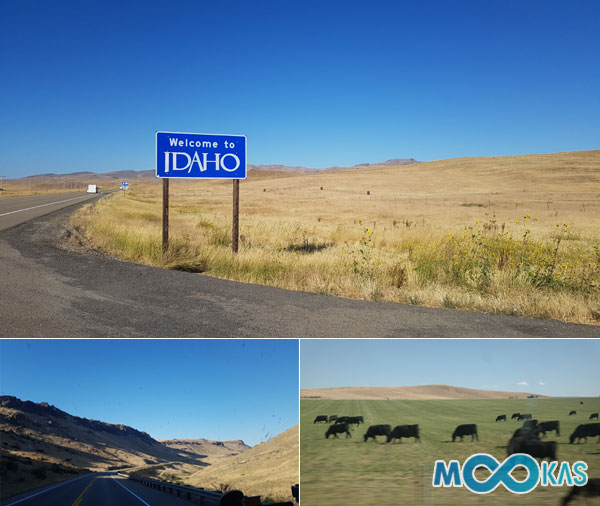 [미국 태권도 탐방] 美 대자연 ‘아이다호(IDAHO)’… 41년째 태권도 심신수련
