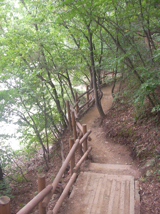 꿈결 같은 광교저수지 오솔길