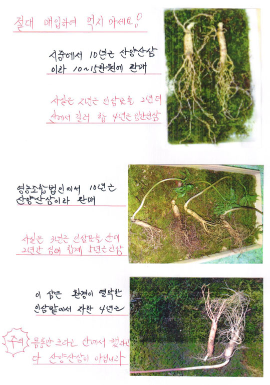 [90] “산양산삼은 다 뻥이고 사기다”