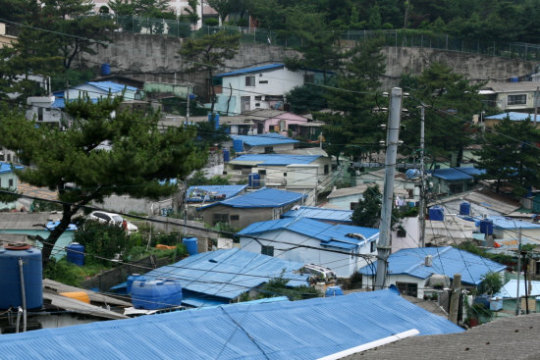 <들찔레의 편지 264>푸른 달동네, 안창마을