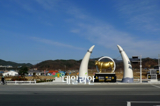 횡성군은 지금 ´환골탈태´ 중