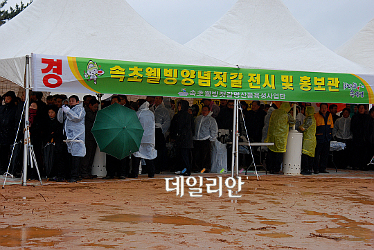 속초 대포 제2농공단지 준공식