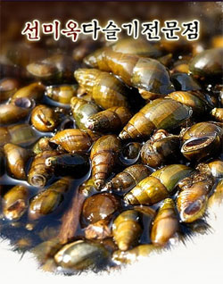 청정의 깊은 맛 다슬기로 활기찬 새봄을!