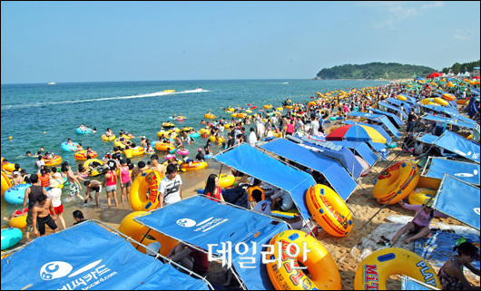 “바다누리 속초시를 마음껏 누려 보세요”