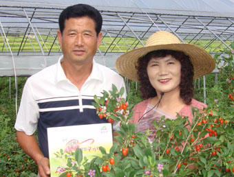 “부농의 꿈, 고향 특산물 구기자로 이뤘습니다”