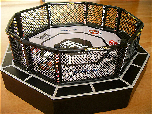 무한 격투사랑 ´방 안에 UFC 옥타곤을?!´