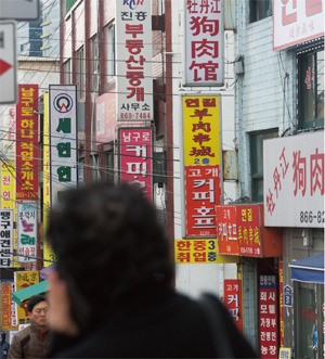 대림동 넘어 강남까지 파고든다