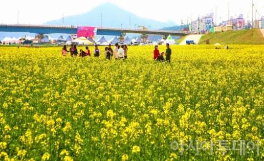 영산포 홍어축제 ‘팡파르’