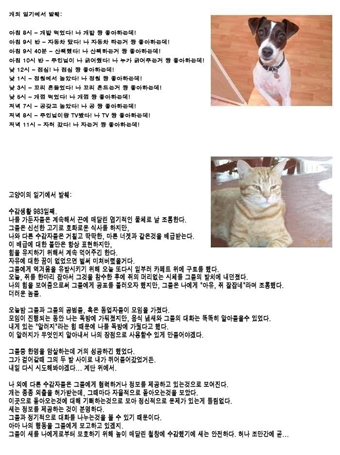 개와 고양이의 일기 폭소, 개는 ‘단순 유쾌’ 고양이는 ‘불만 가득’