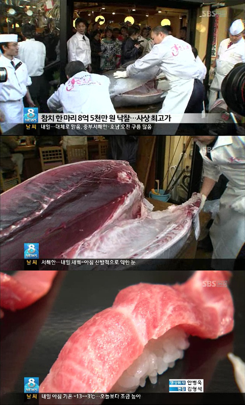 8억 5천만원 참치, 최고 경매가 기록 ‘판매는 기존 가격으로’