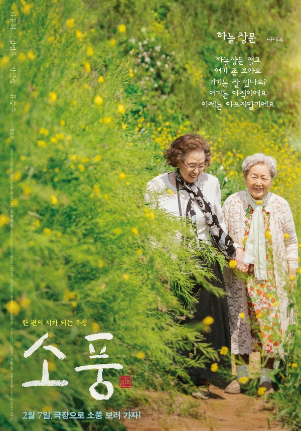 이제는 아프지말기에요...나태주 시인 하늘창문 헌정 시 담은 영화 소풍