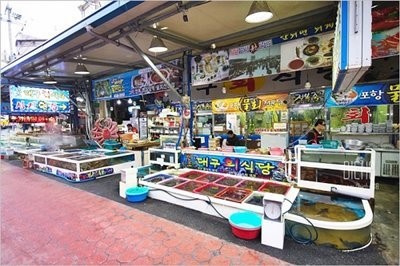 [맛있는여행] 포항의 명물, 신선하게 회를 즐기는 포항횟집