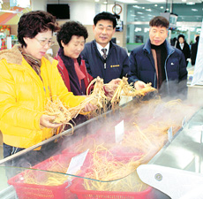 충북인삼농협 직판장 인삼유통 새지평 연다