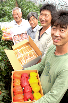 친환경농산물 직거래하는 ‘햇빛선물 친환경영농조합’