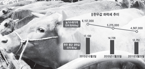 ‘고삐 풀린’ 한우값 곤두박질