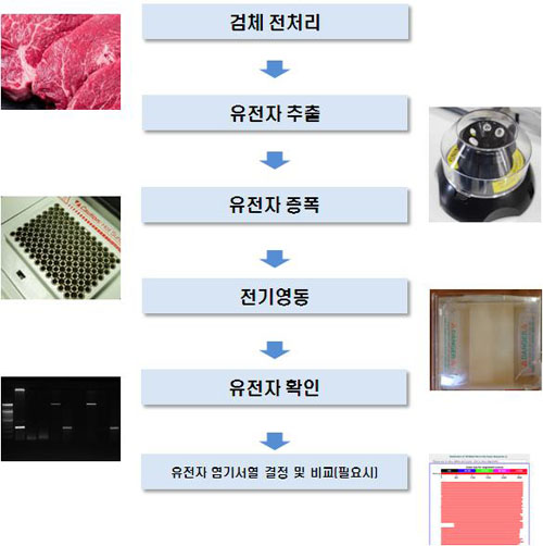 칡 없는 칡냉면…“딱 걸렸어”