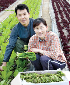 새농민 2011 본상 우수 영농사례 (10)정천흥·신춘선 부부 <충북 청원 형제농장>