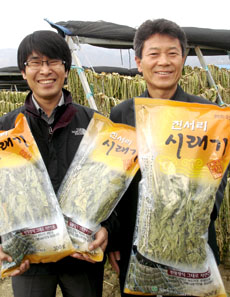 [우리 농산물 가공시대를 연다] 강원 양구농협 시래기가공사업