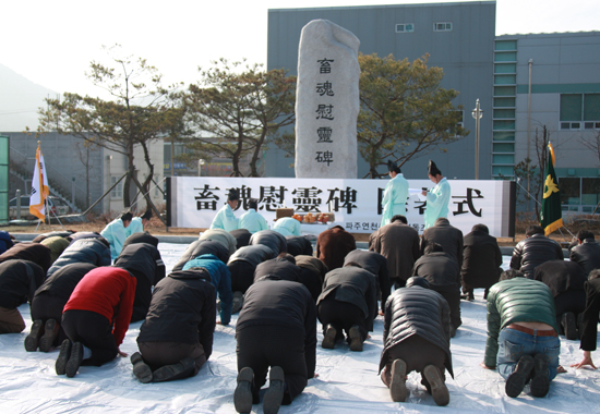 경기 파주연천축협, 매몰가축 위령제 지내며 축산업 정상화 결의