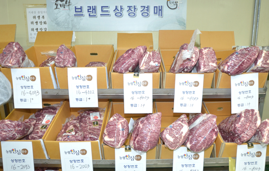 ‘농협안심한우’ 부분육 경매…축산물 유통 투명성 높인다