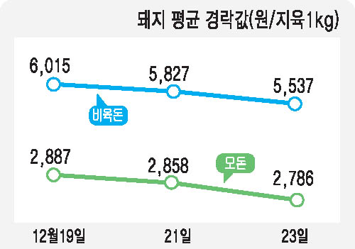 축산물 출하정보 <돼지>방학 … 급식줄어 약세