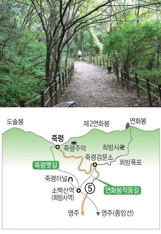 김윤석 기자와 함께 걷는 옛 고갯길(4)죽령