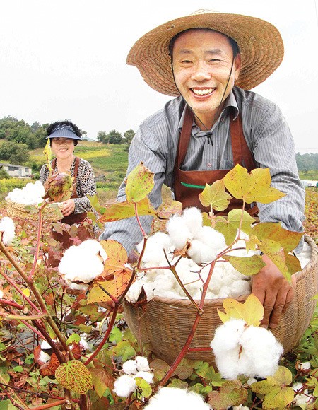 보송보송한 목화솜으로 겨울 준비를