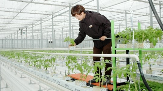 동부팜한농, 화옹 첨단유리온실 사업 중단