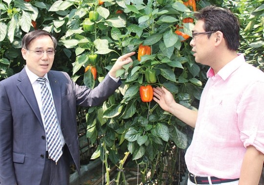 광양원협, 농산물 수출로 소득증대 앞장