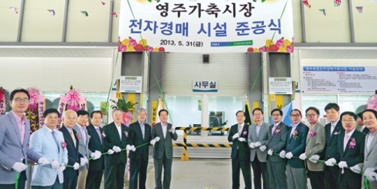 영주축협, 전자경매가축시장 문열어