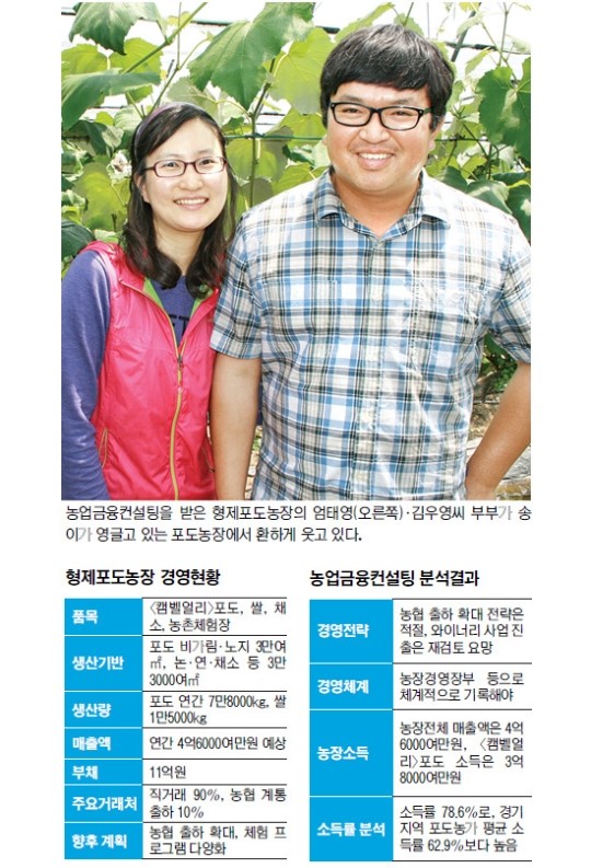 성공 농업을 위한 농업금융컨설팅 ⑾ 컨설팅 후 중장기 계획 세운 ‘형제포도농장’<경기 화성>
